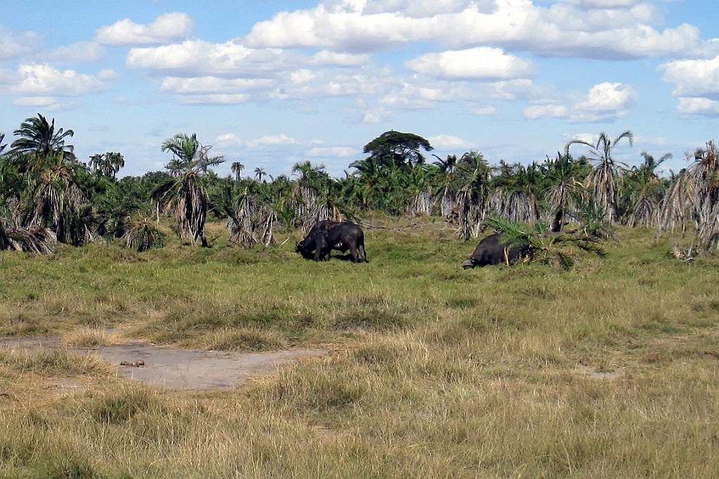 Kenia (248).jpg